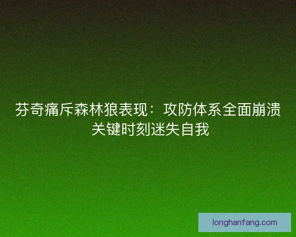 芬奇痛斥森林狼表现：攻防体系全面崩溃 关键时刻迷失自我